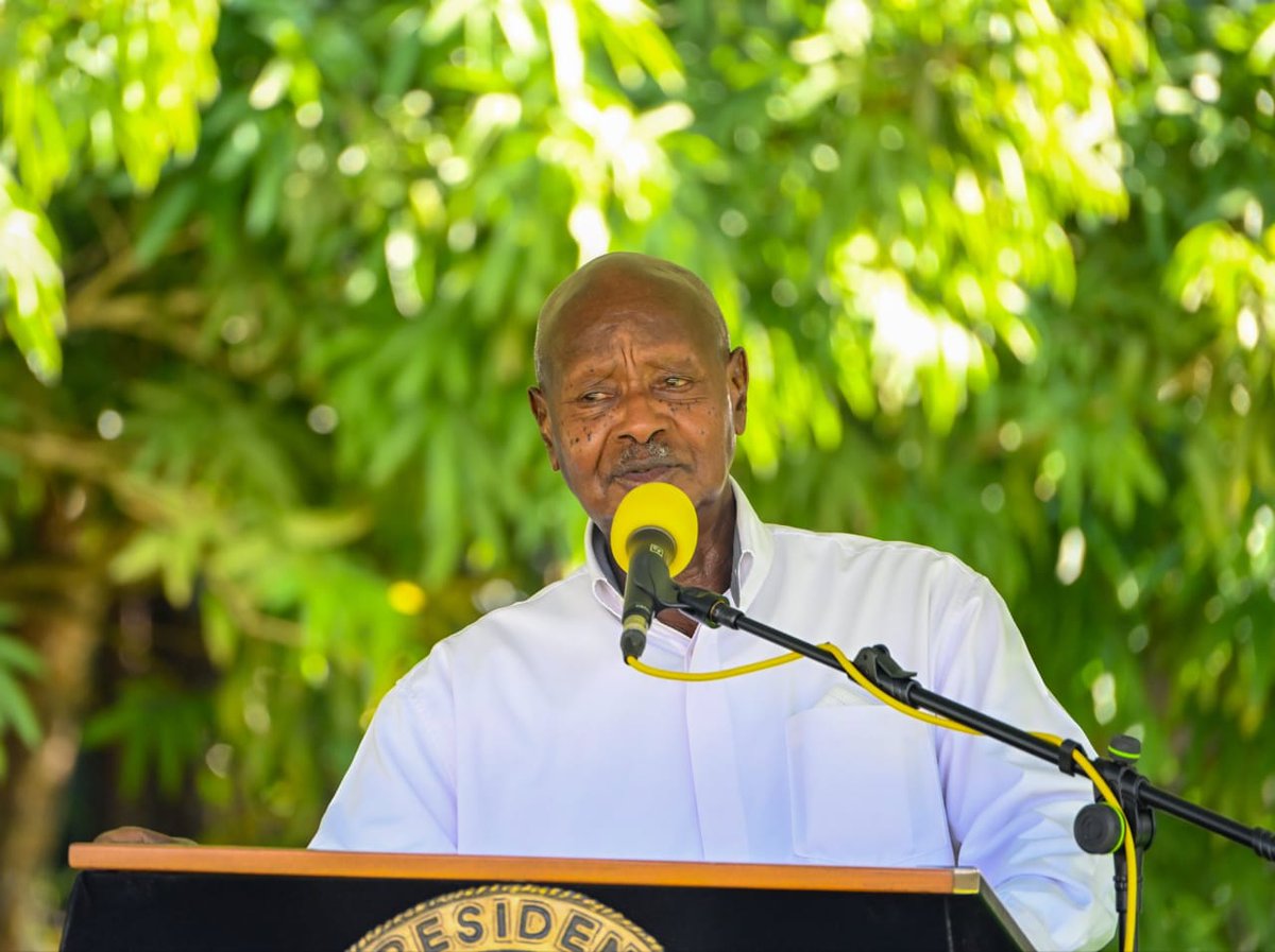 kigezi's Giant tweet media