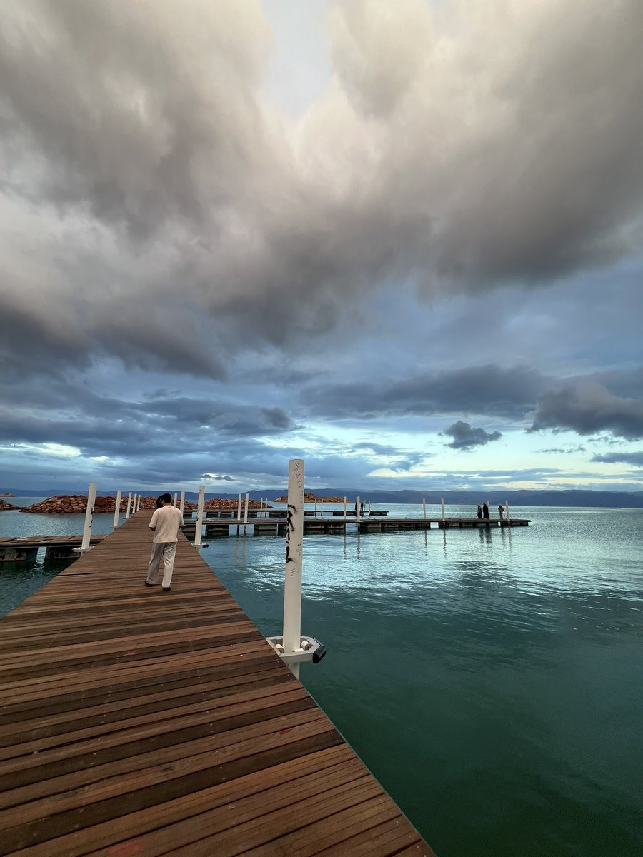 AlShamal Pinterest tweet media