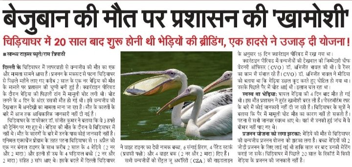 ramptripathi's tweet photo. बड़ा सवाल 
#zoo @NzpDelhi @Environment_Ke @World_Wildlife @NBTDilli https://t.co/fffSEXyCJv