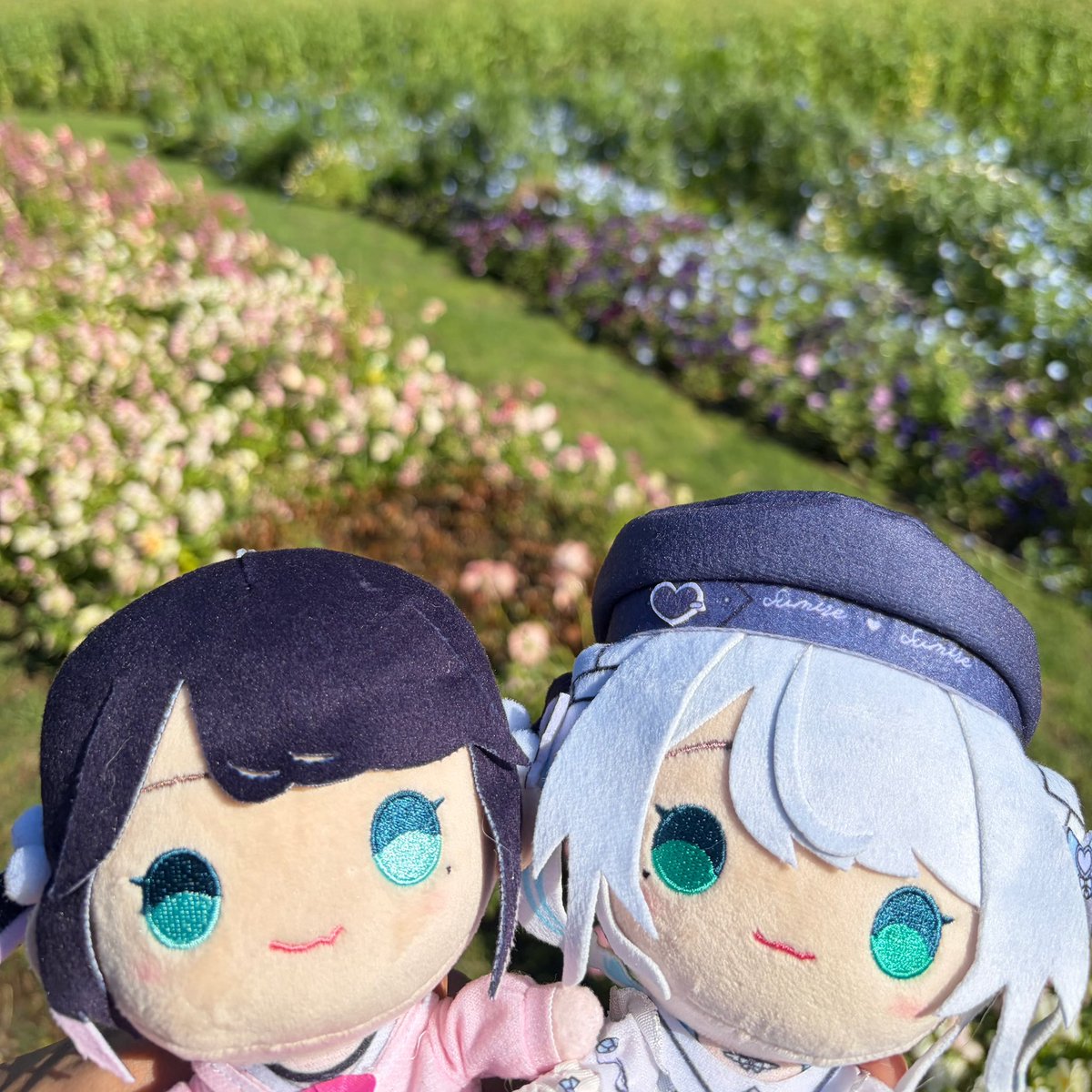 TSM_Mashu's tweet photo. なずぴとすみーを連れてお花畑行ってきた^^
 #なずP  #花芽すみれ https://t.co/OguyQEIFm8