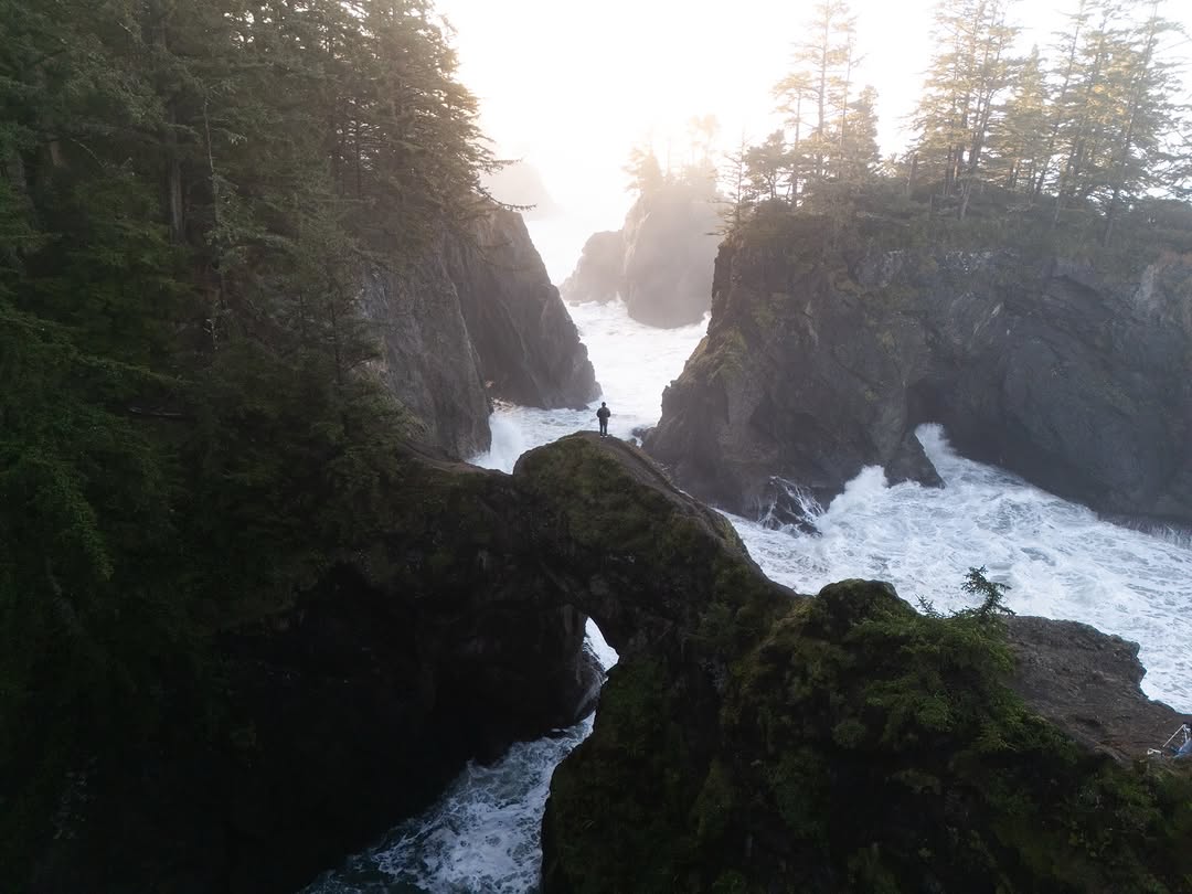 visualsofearth1's tweet photo. Oregon Coast https://t.co/oHquMcDb0E