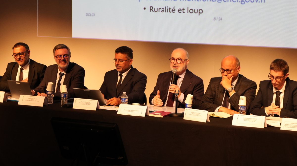 Image de Préfet du Cher - #Territoire | 🤝🏛️ Rencontre avec les maires de l'arrondissement de Saint-Amand-Montrond
Le maire, 