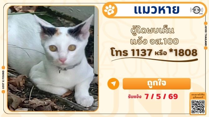 #แมวหาย จากหมู่บ้านคณาสิริ ต.พันท้ายนรสิงห์ อ.เมือง จ.สมุทรสาคร ผู้ใดพบเห็นแจ้ง JS100 โทร *1808 หรือ 1137

รายละเอียดเพิ่มเติม : js100.com/en/site/lost_f…

#ตามหาแมวหาย #JS100