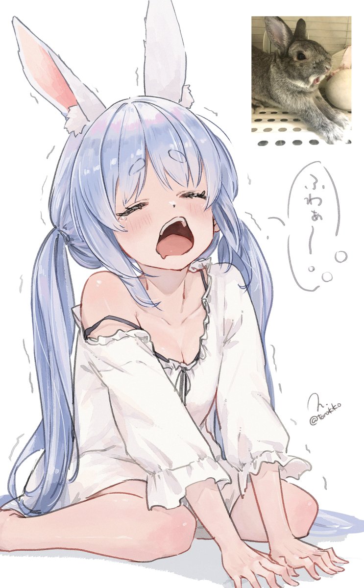 torokko's tweet photo. 寝起きぺこちゃん👯
右上はうちの子🐇

Daily Illustration, Day 175 – Usada Pekora https://t.co/zctfMzMv5p
