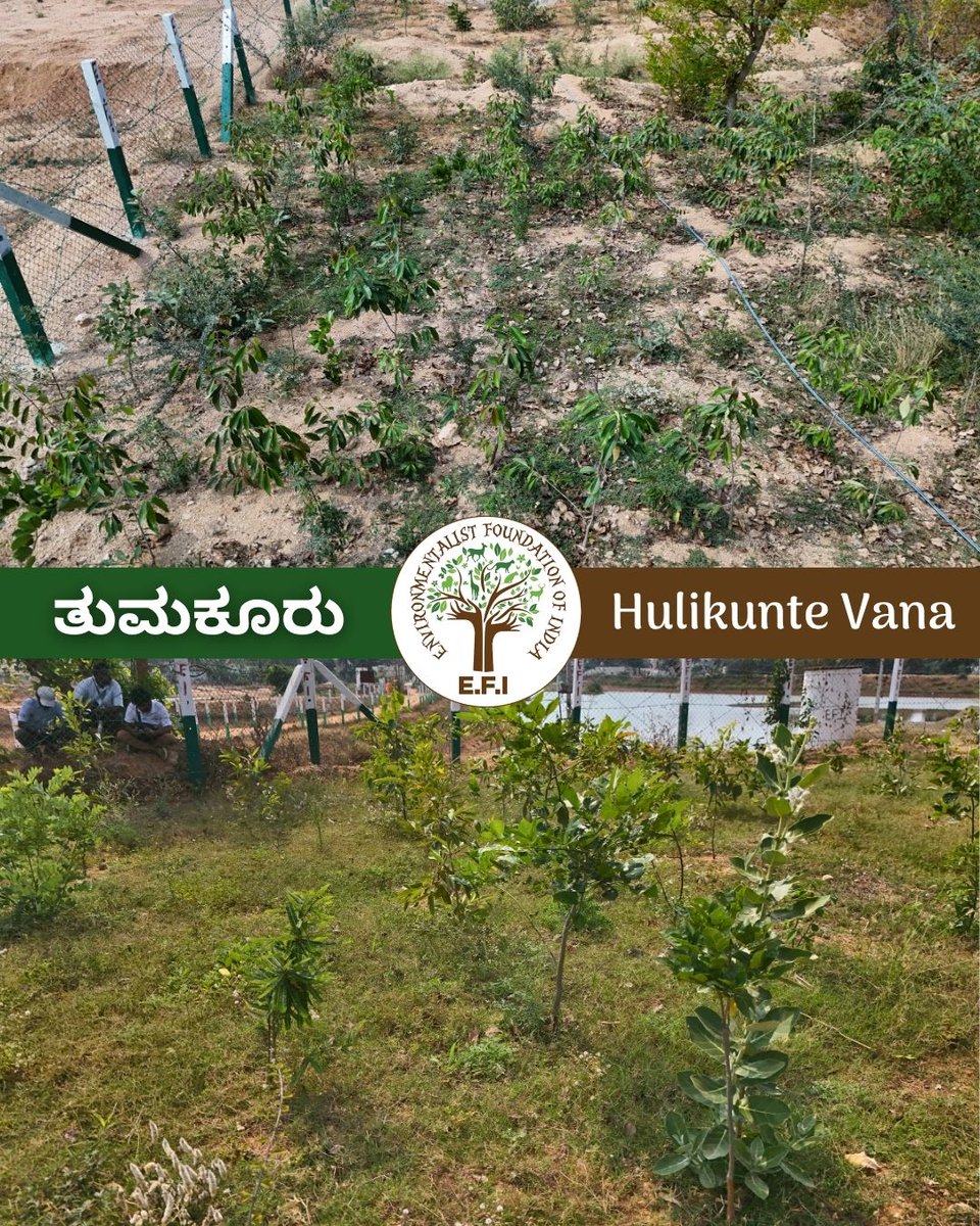 Arun Krishnamurthy tweet media