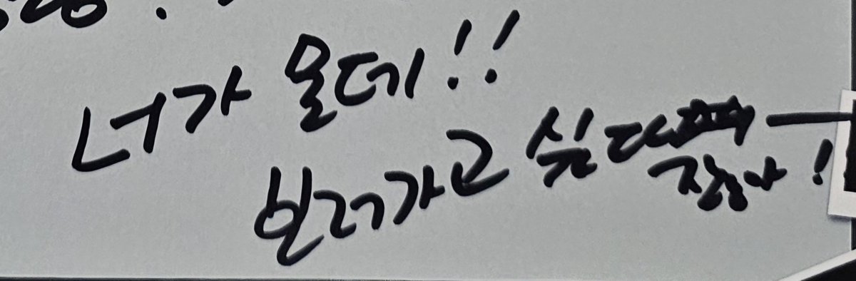 연어 tweet media