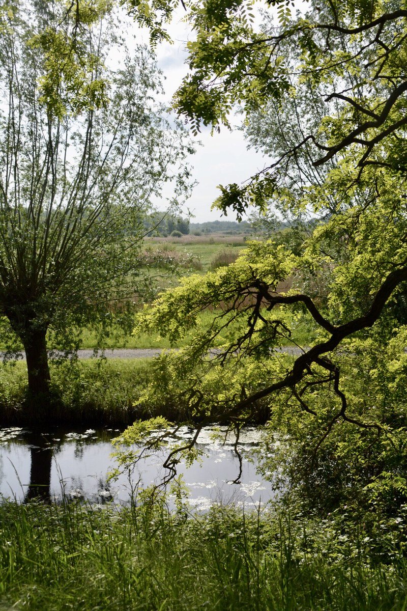RPKumpf's tweet photo. Have a beautiful day 🌱🌳☀️ https://t.co/RWSpXz6Pn0