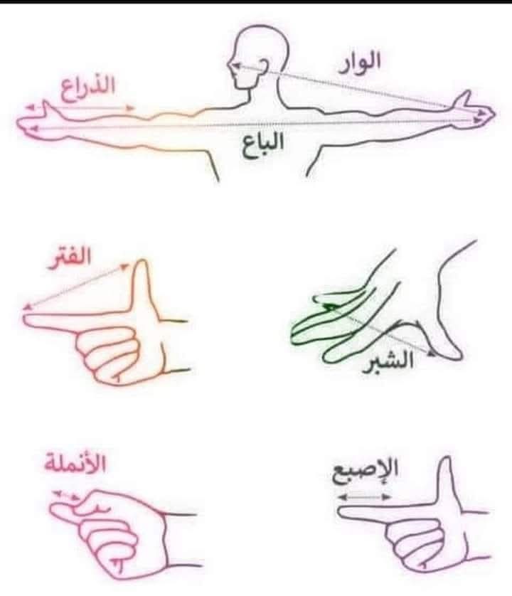 رغد العتيبي tweet media