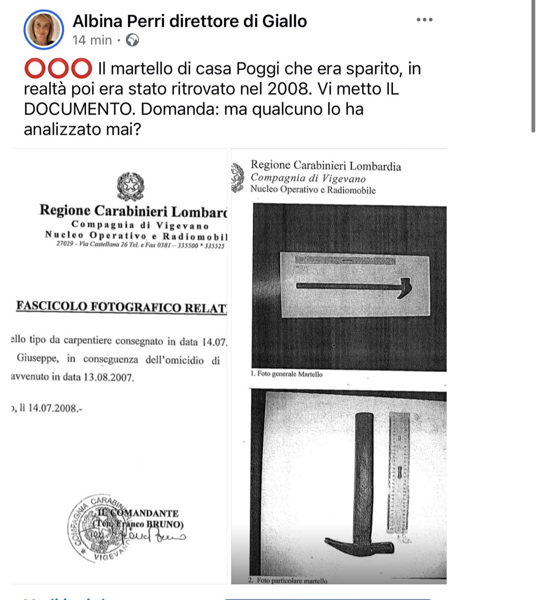 Selvaggia Lucarelli tweet media