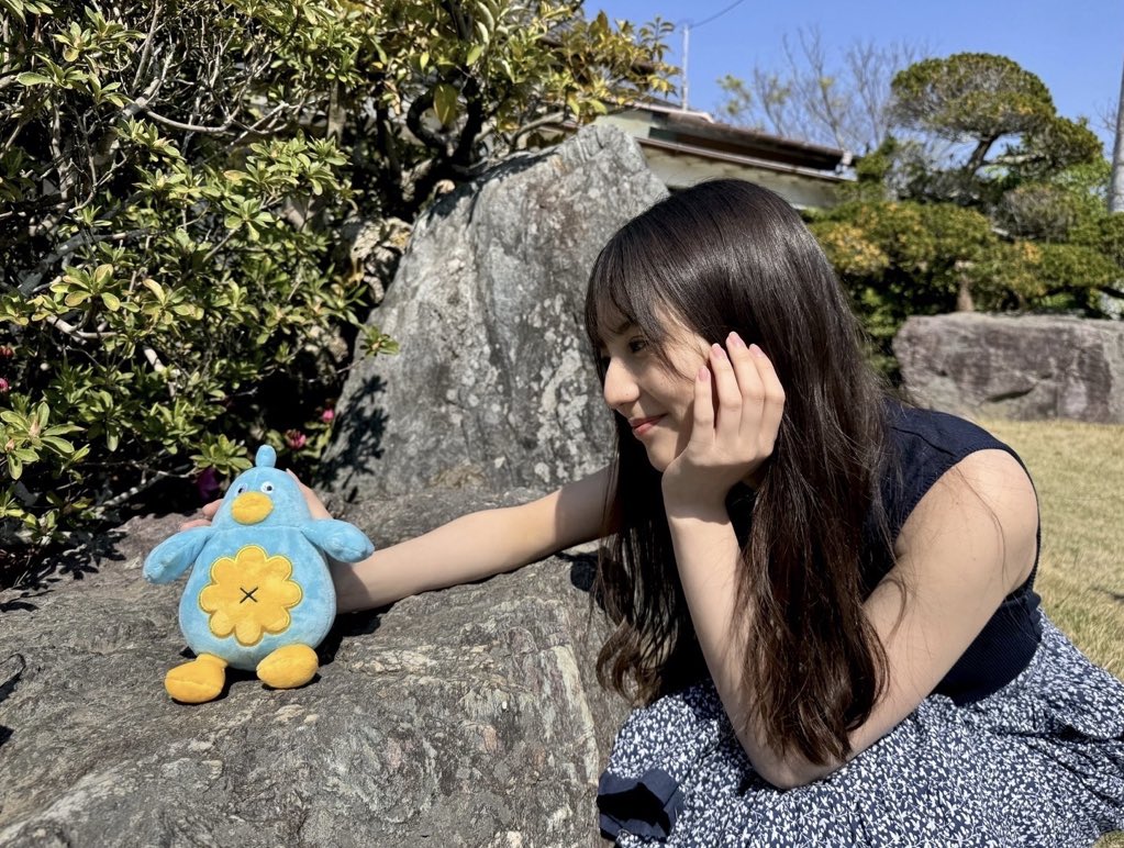 バンブーウッド tweet media