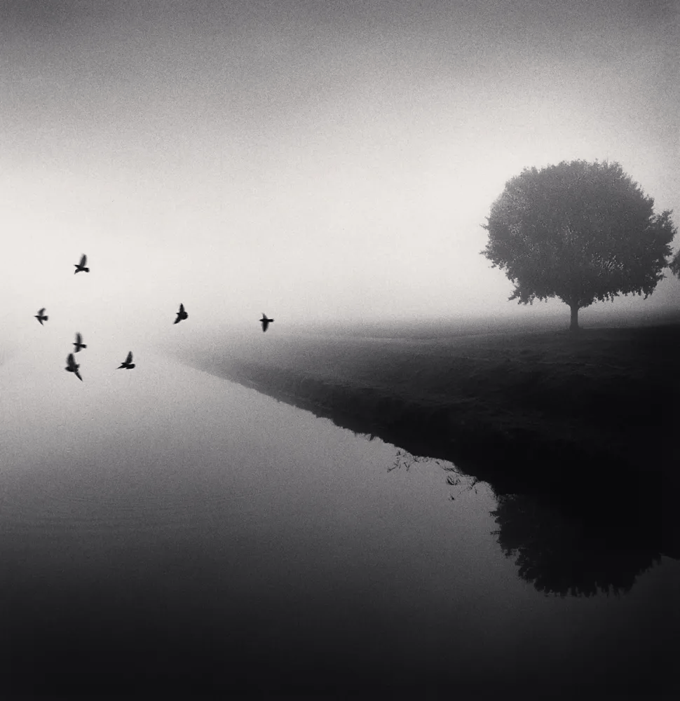 PUƦЄ Ʀ ∕̴ƖνЄЯ ☮ tweet media
