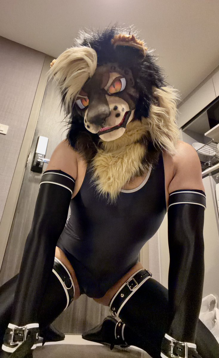 kyro_lion's tweet photo. is this lion subby or dommy https://t.co/WdVwO9CXdl