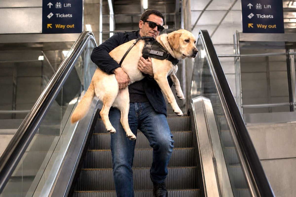 EuroGuideDogFed's tweet photo. “You can’t use the escalator with your dog.”

Fine.

What happens when the lift is broken?

For some guide dog users, that means carrying a 30kg Labrador through a station.

That isn’t accessible transport.

👉 https://t.co/4A8rntN1G9

#GuideDogs #Accessibility #DisabilityRights https://t.co/VILKRcPN7v