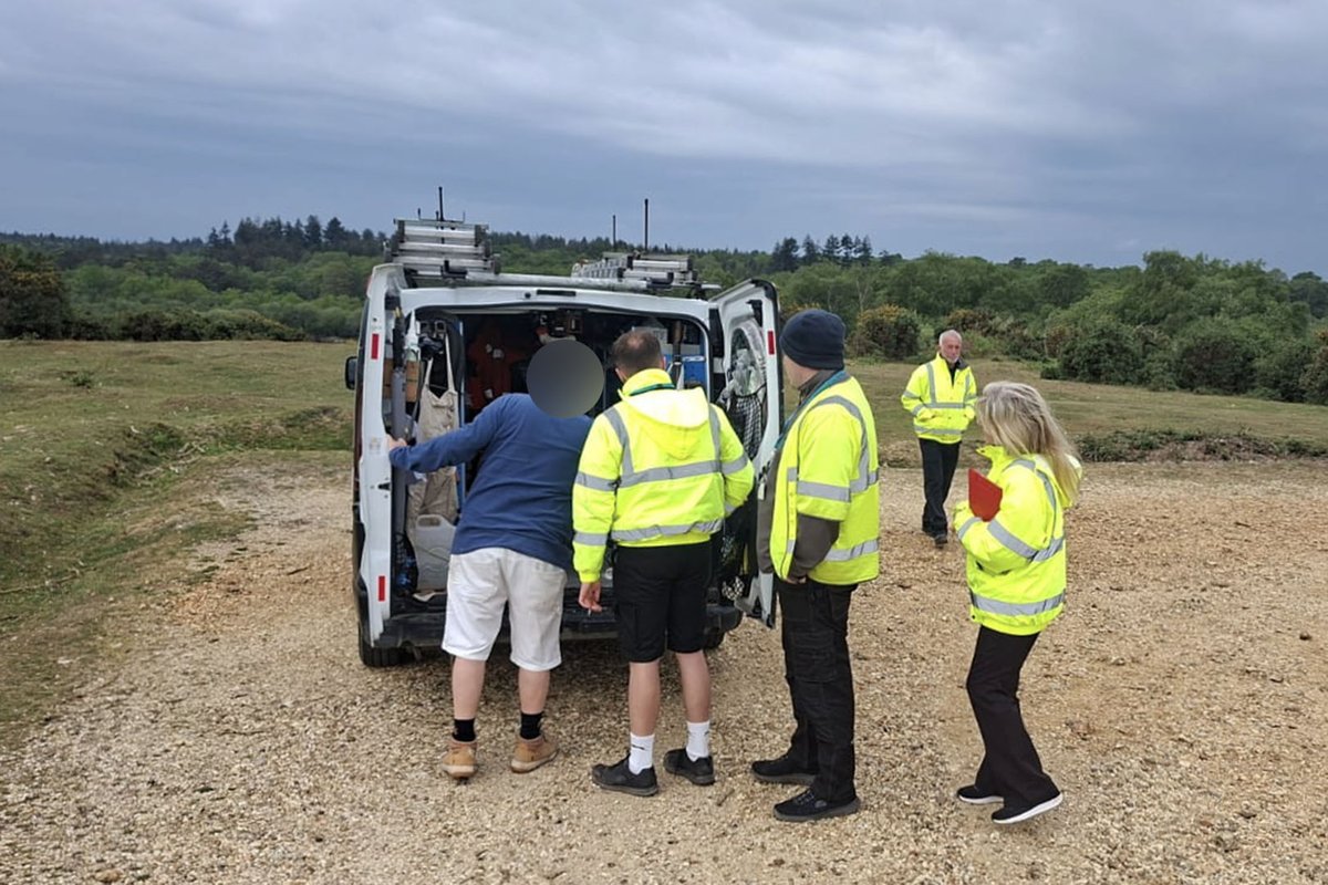 The New Forest - Forestry England tweet media