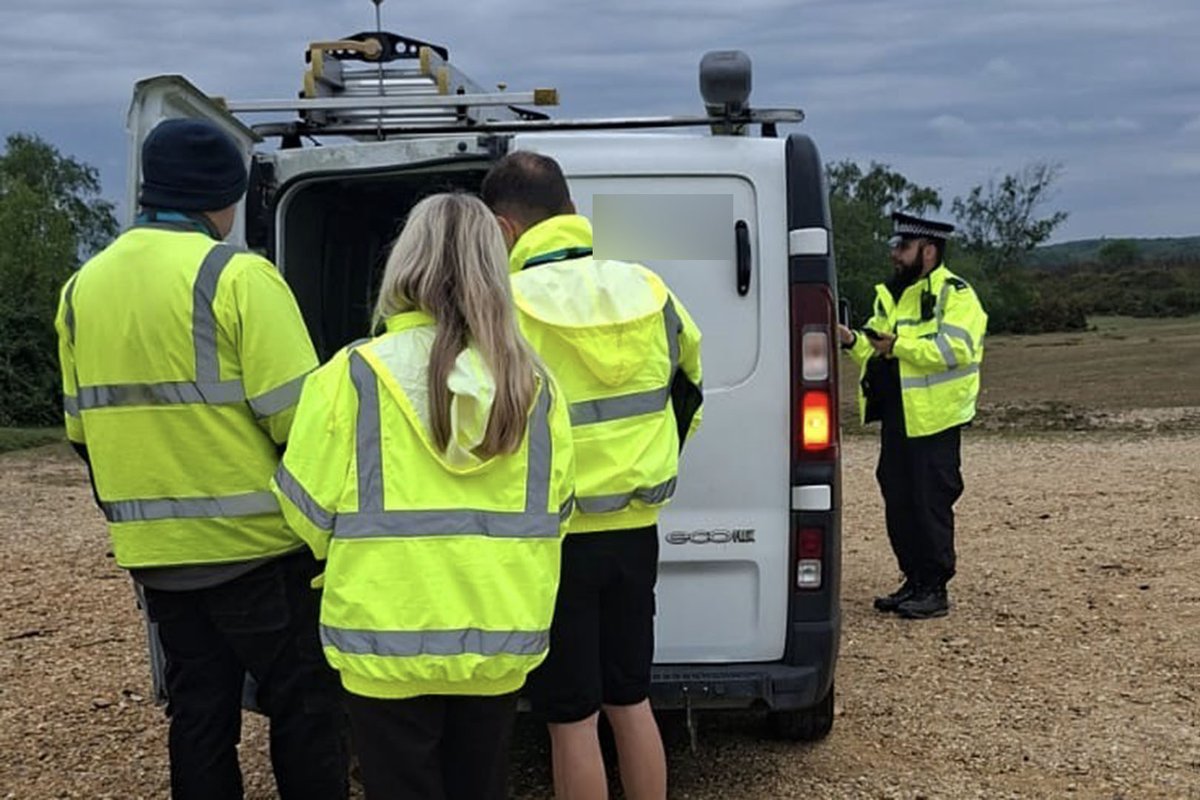 The New Forest - Forestry England tweet media