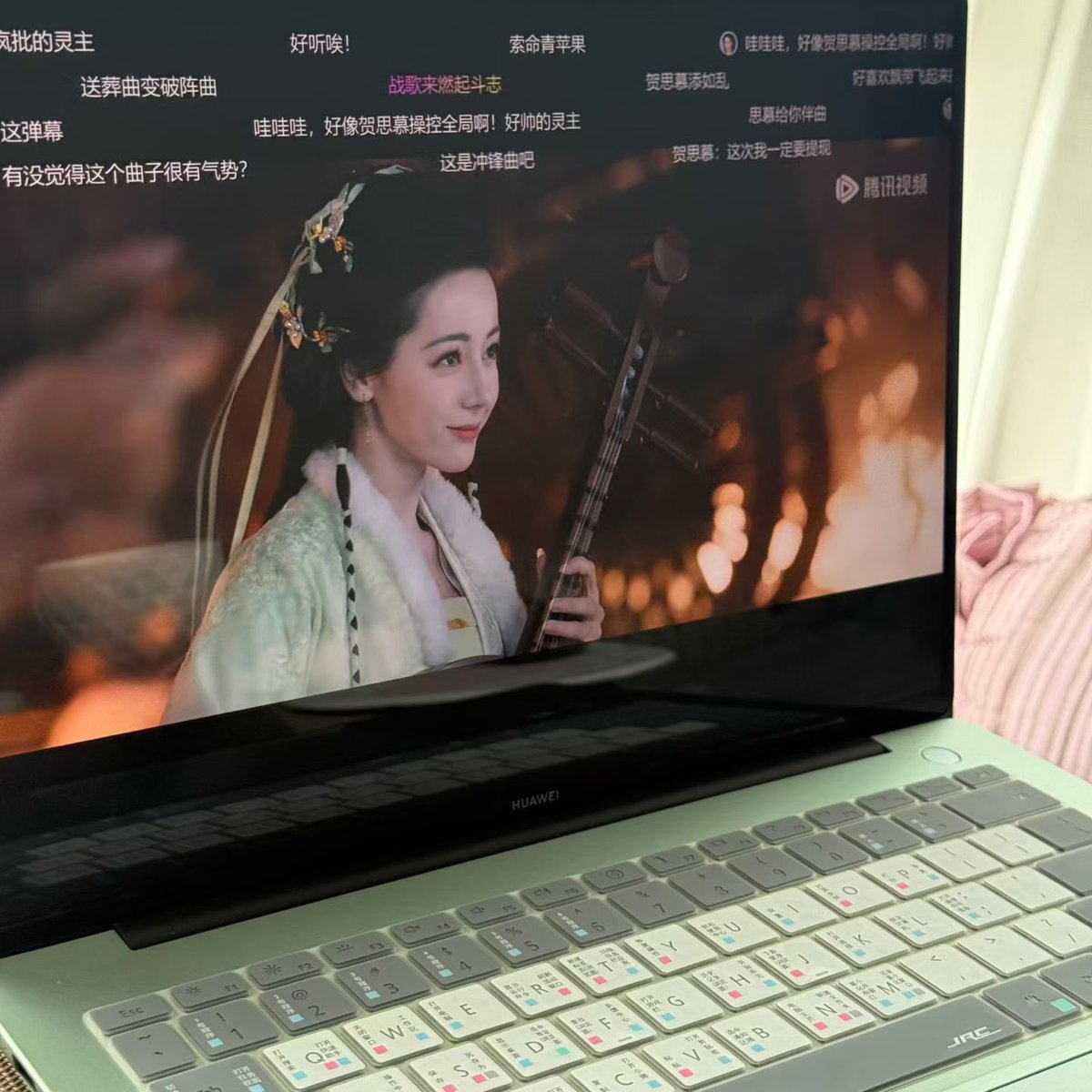 深圳龙岗布吉猫猫 tweet media