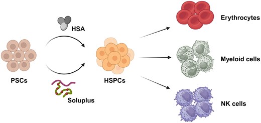 STEM CELLS Translational Medicine tweet media
