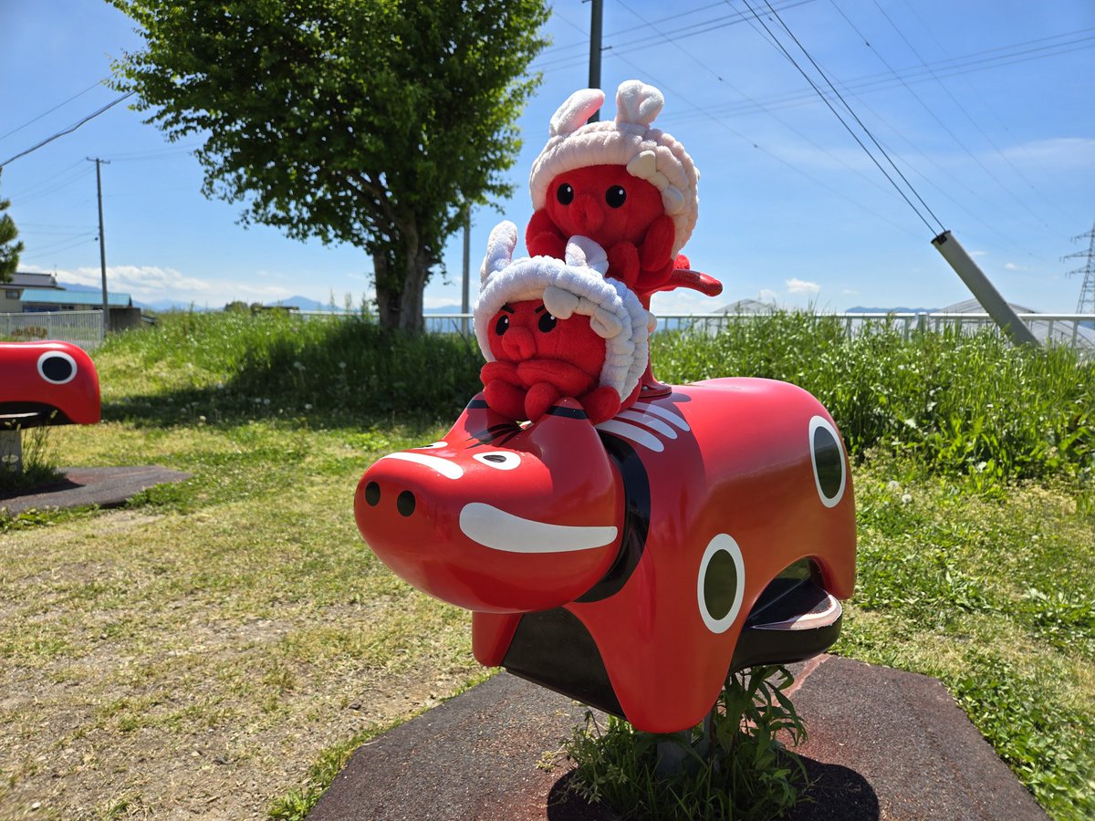 peeesan558's tweet photo. 作品名：赤ベコ🐮に乗るオクトパス君🐙
撮影場所：福島県会津若松

今年もオクトパス君🐙と楽しく撮影できまチュた🥰
企画ありがとうございまチュ✨

#オクトパス君フォトコン
#南三陸大好き https://t.co/oXFXhQl8tJ