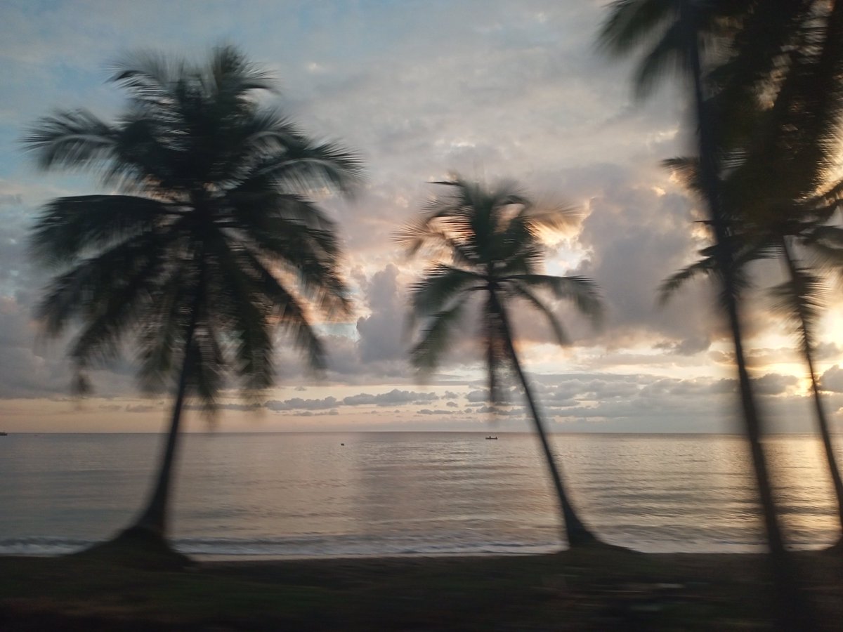 mrfhlgl's tweet photo. 🌴🌅 https://t.co/K4Y5kTrLo7