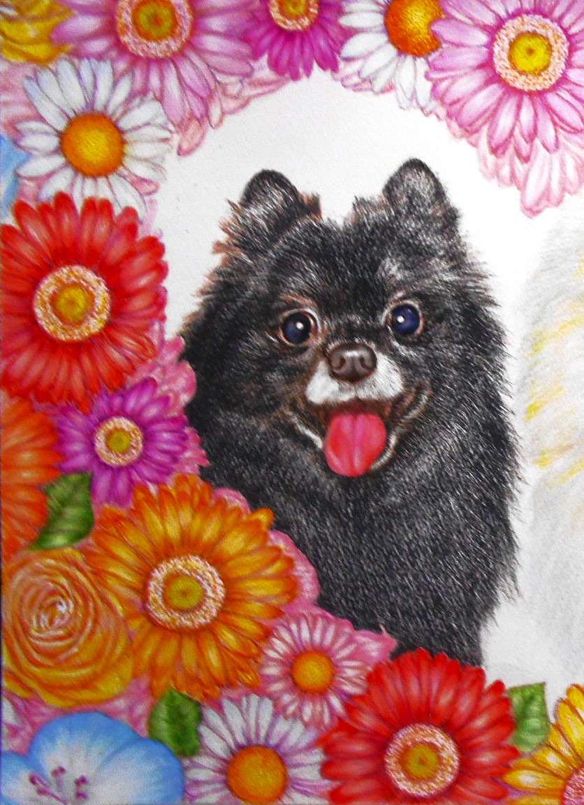 もふもふ特等席 色鉛筆画 もふもふ特等席 色鉛筆画の通販はau PAY マーケット - 輸入雑貨の