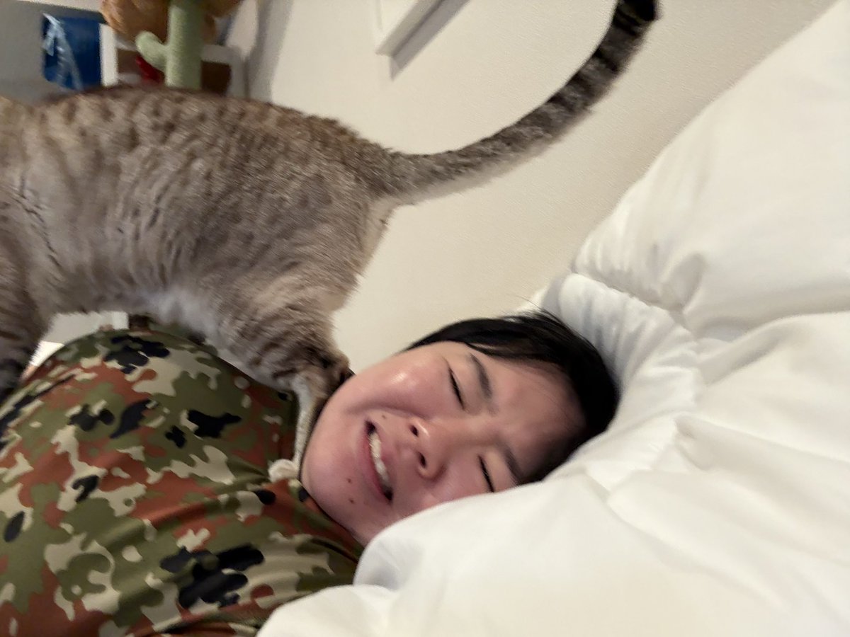yasuko_sma's tweet photo. #猫のいるくらし https://t.co/JepcZqmJla