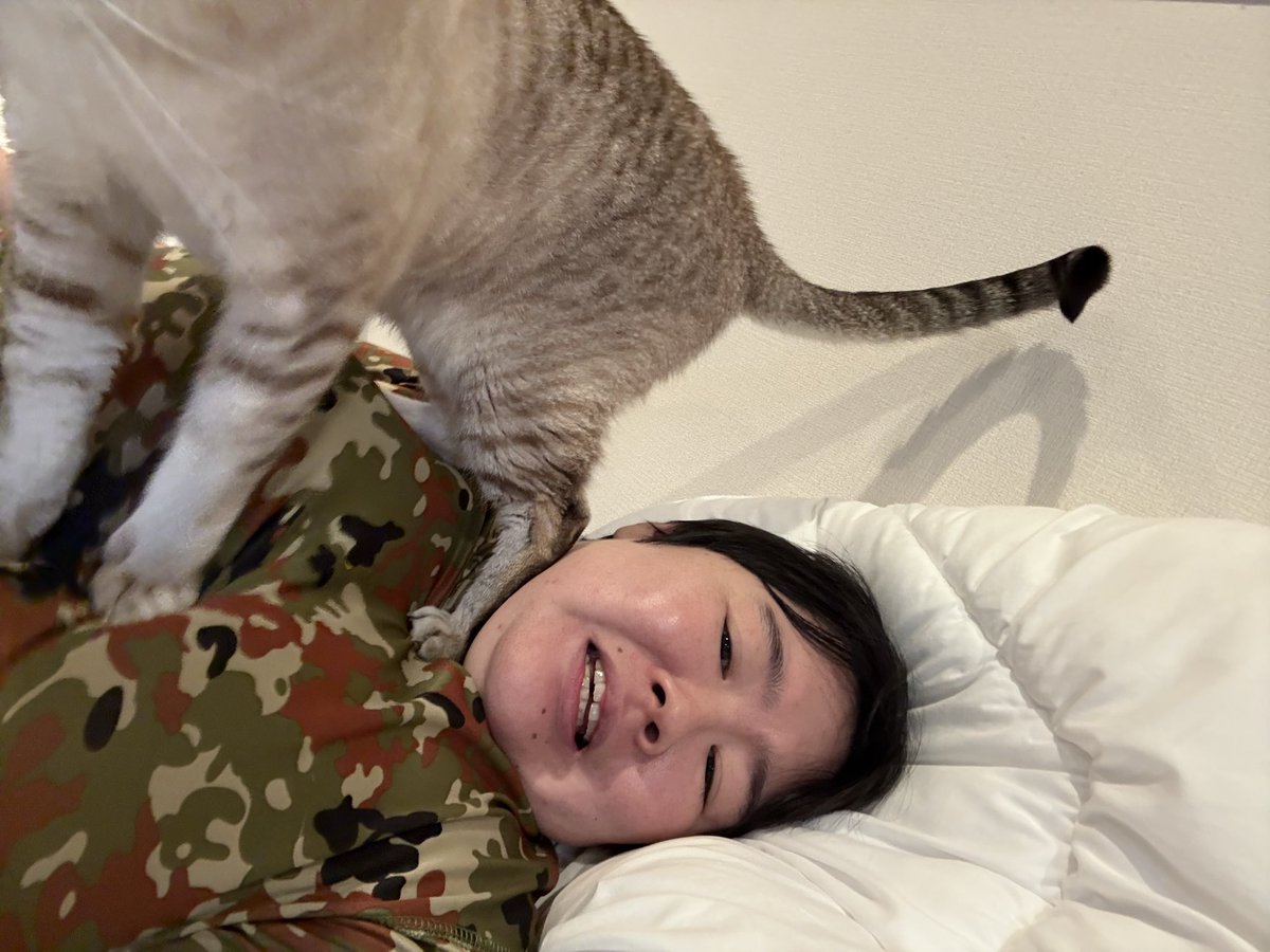 yasuko_sma's tweet photo. #猫のいるくらし https://t.co/JepcZqmJla