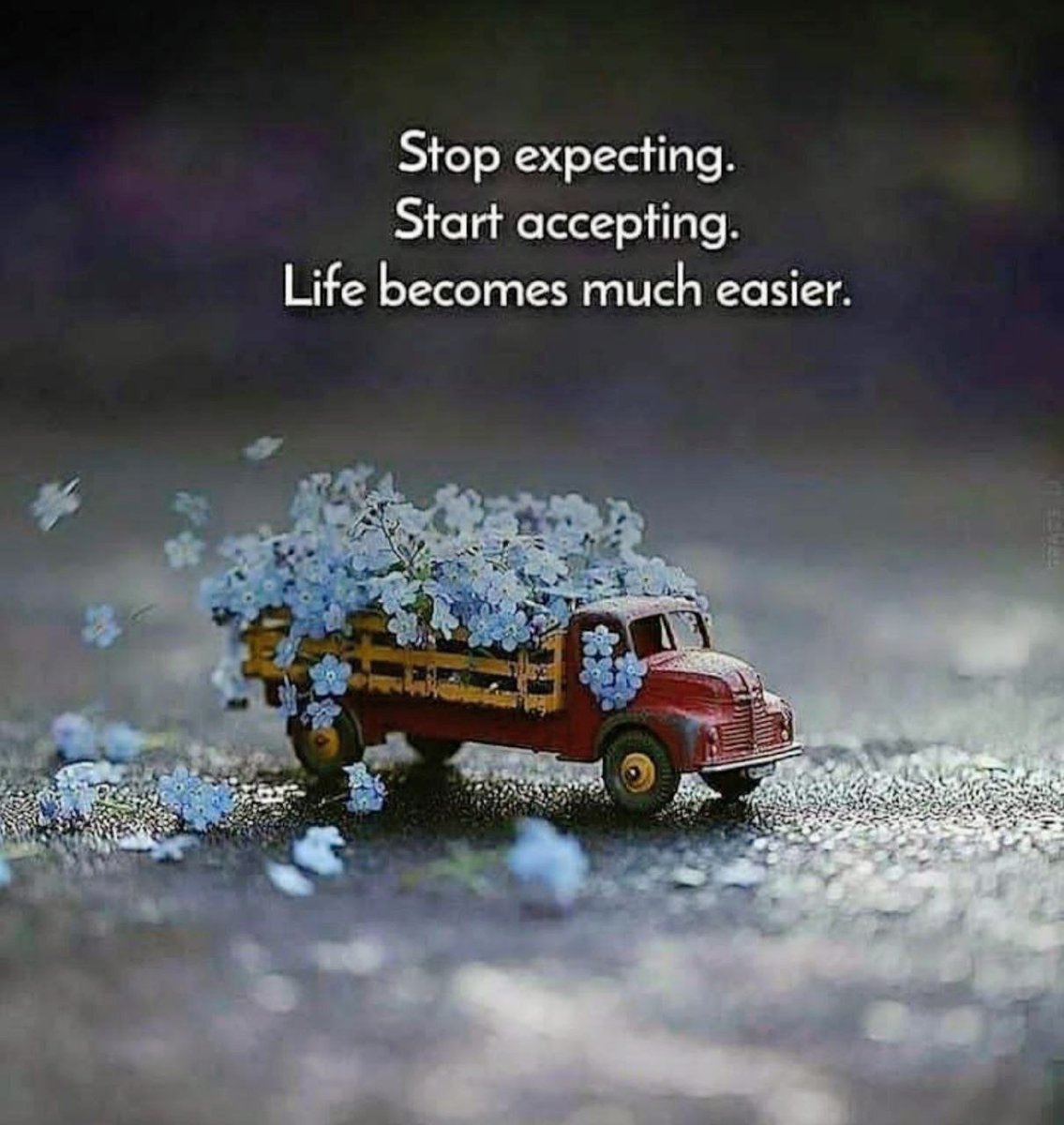 PositivitySaid's tweet photo. :) https://t.co/PBnDZbhos5
