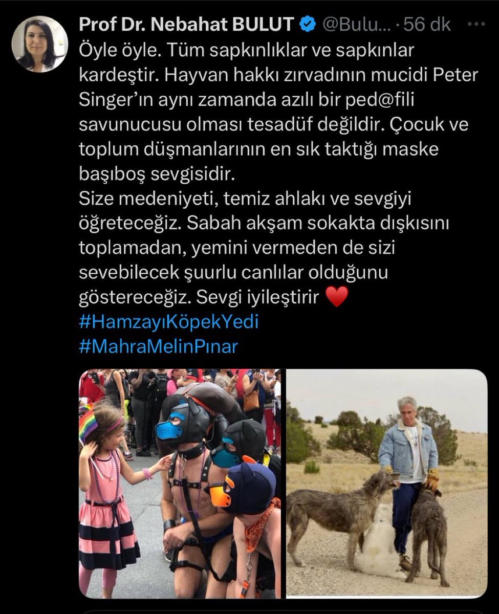 Orthodox socialist ☦🐾 tweet media