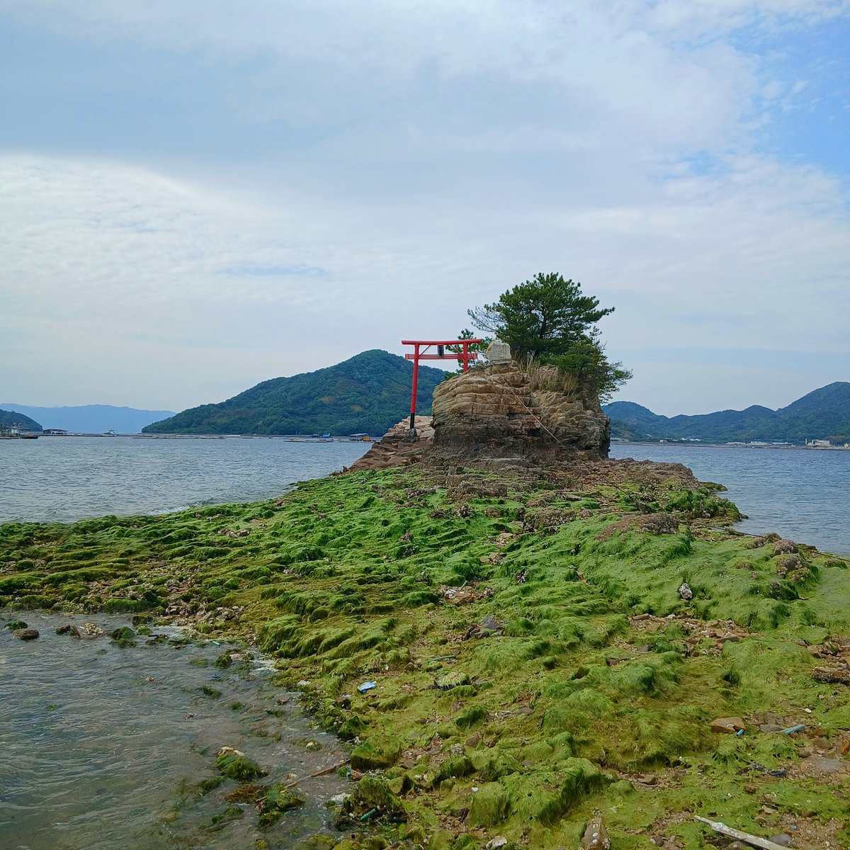 kamuymodels's tweet photo. 長瀬海岸の「モンサンミッシェル」
本家は修道院があるとかだけどこっちは神社がある。
海が荒れないようにの祈願？ https://t.co/R9SixXLXce