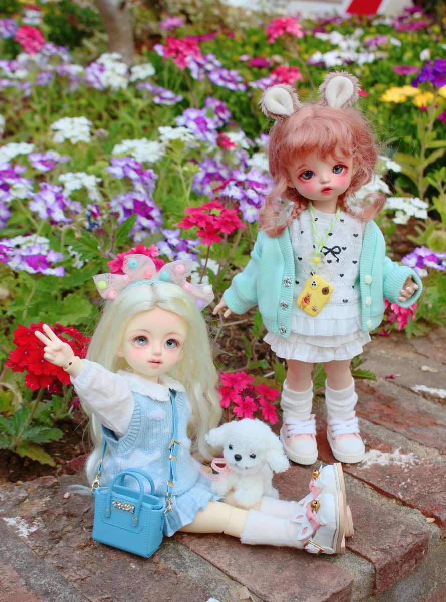 J_Anne_bbojjak2's tweet photo. 🌳🩵🐩💚💐 https://t.co/r46v0jdkKn