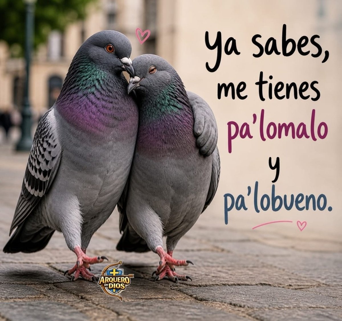 .
Espero que tu mañana sea tan bonita como tu sonrisa y espero que el resto de tu día sea dulce como tu mirada.❤️

Feliz jueves 🥰🌷🙏🏻☕