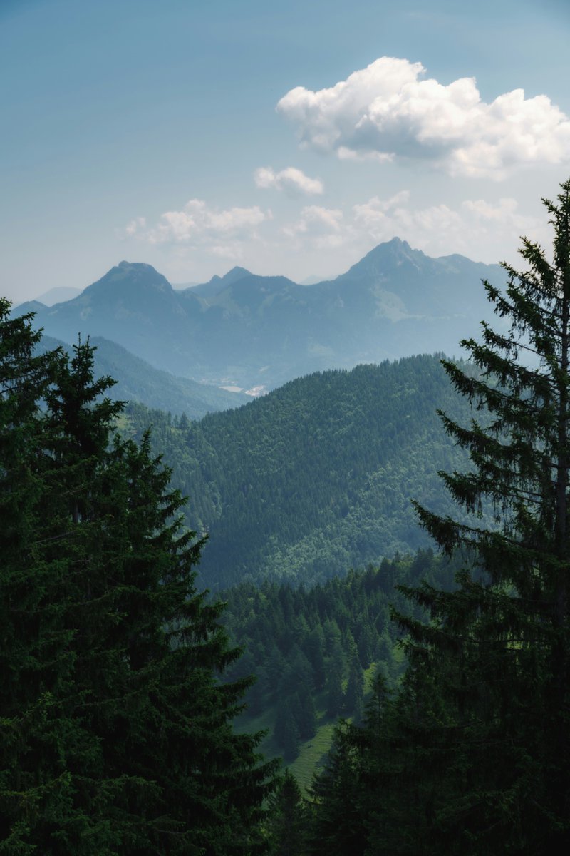 earthcurated tweet picture
