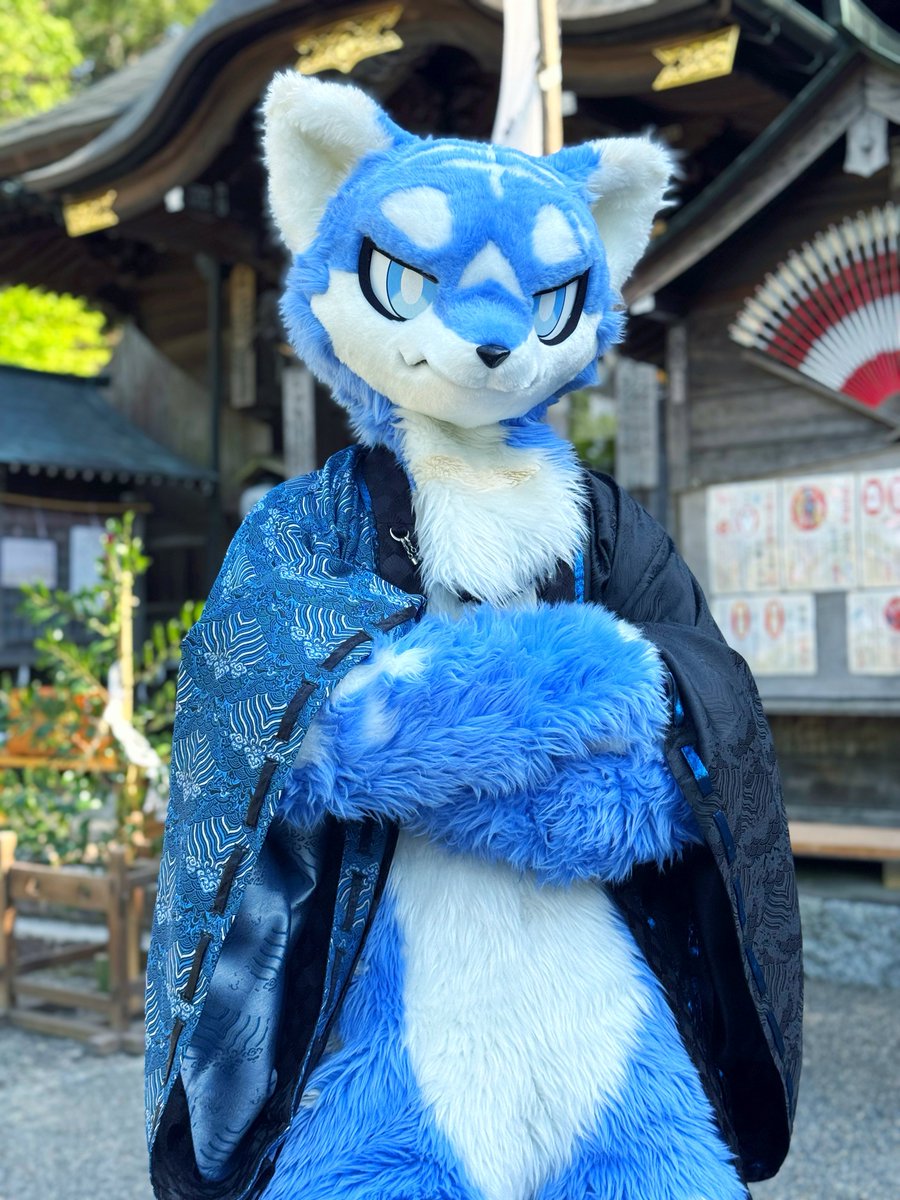 ゼーオス tweet media
