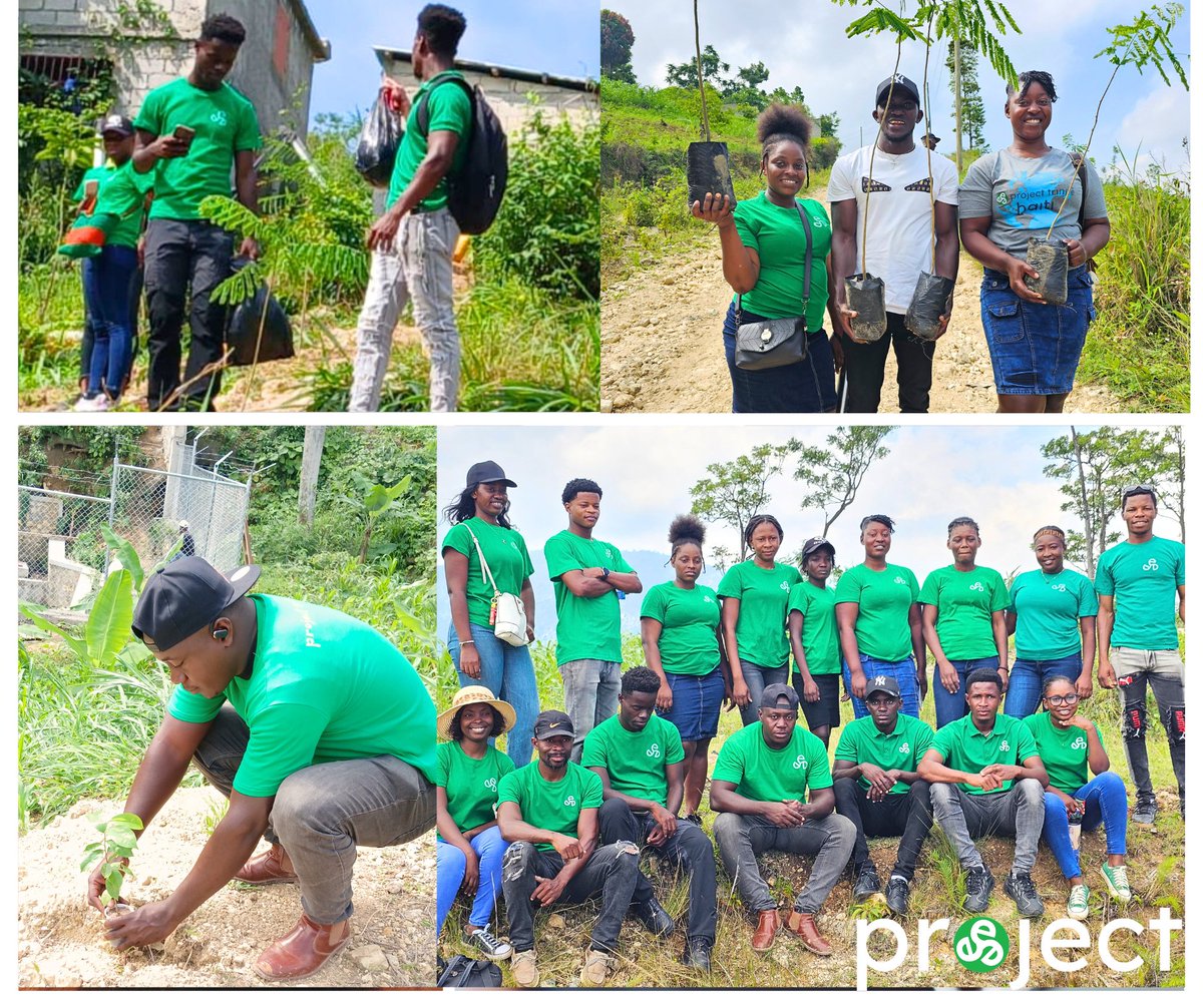 project trinitē tweet media