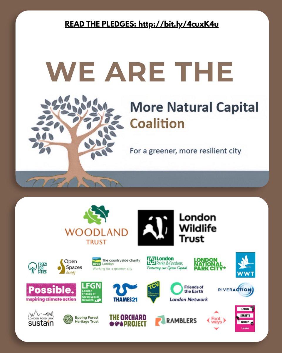 CPRELondon's tweet photo. Today's the day. 📨

900+ candidates signed our pledges. Ask YOUR candidate where they stand.

👉 Link in bio

#LondonElections2026 #NatureOnTheBallot

@friends_earth
@_wearepossible 
@livingstreets 
@UKSustain 
@londonnpc 
@openspacesoc https://t.co/U1wWsQfp6H