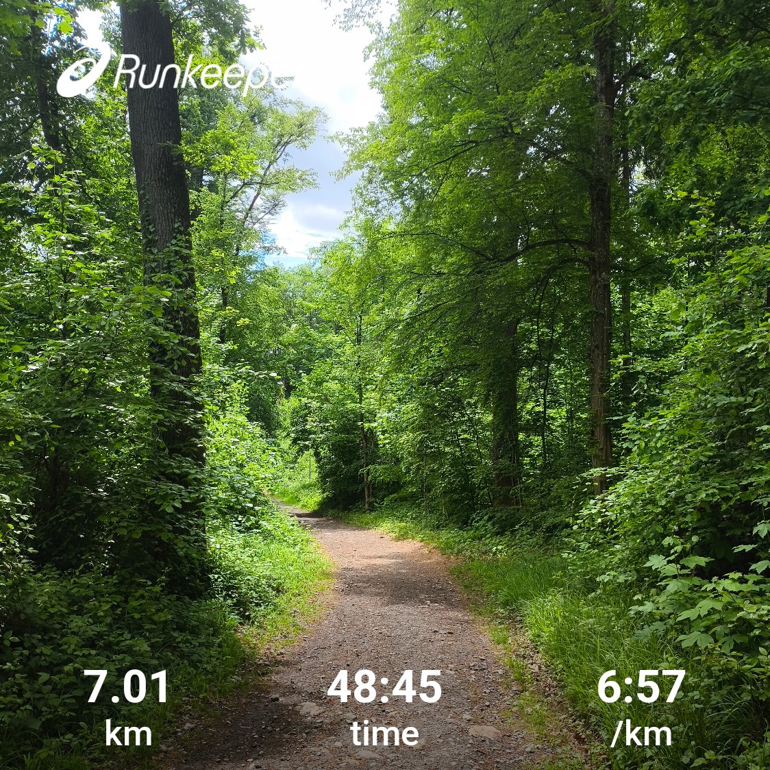 zureich37's tweet photo. Thursday 🏃‍➡️ in the woods.
... at the moment running is easier than sleeping with this rib injury. 😅
#running #runchat #ForestRun #recovery #slowlygettingbetter https://t.co/zEuihbAM3X