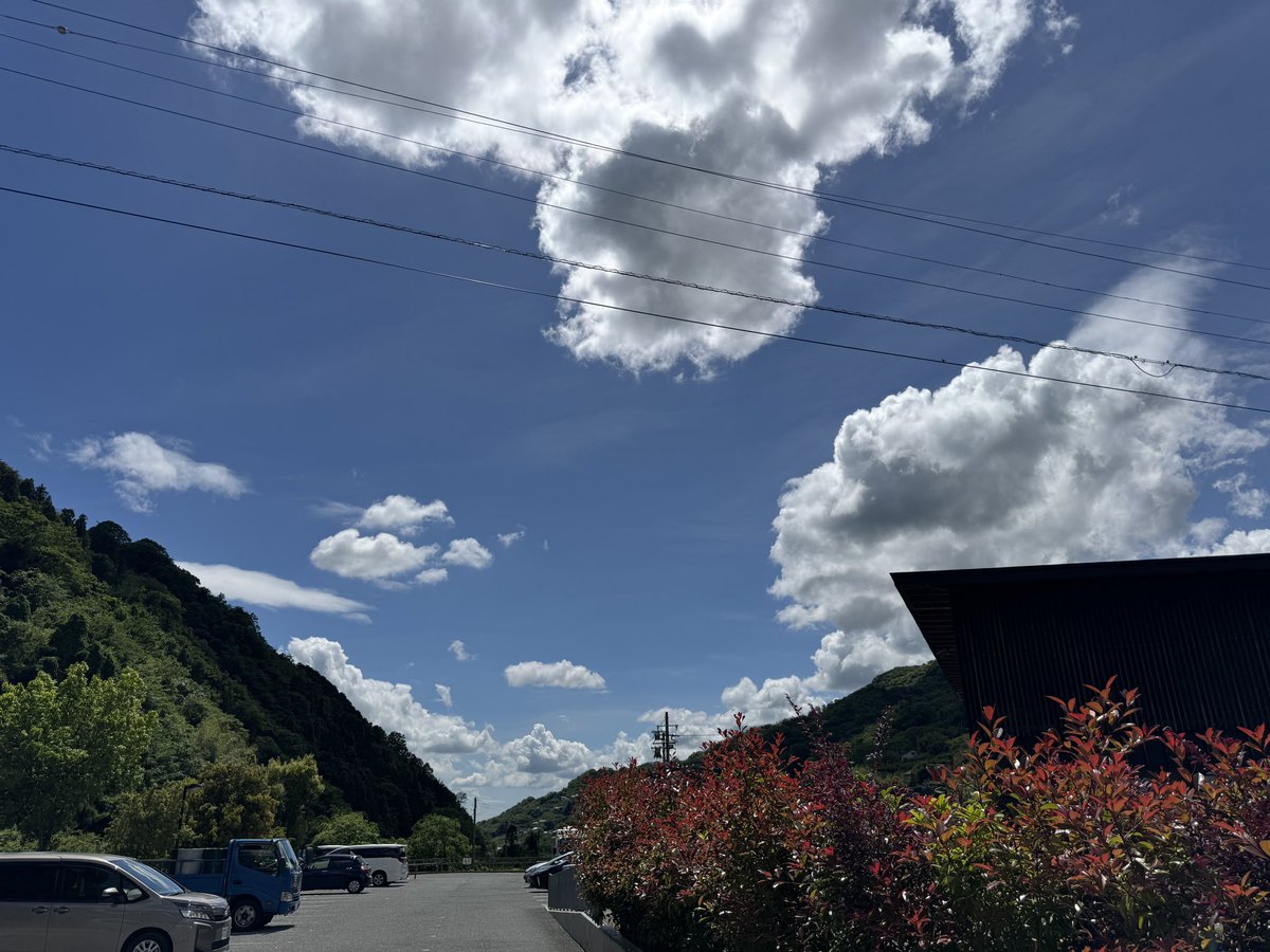 らいでん𓅪@e⭐︎イヤホン日本橋本店 副てんちょ tweet media