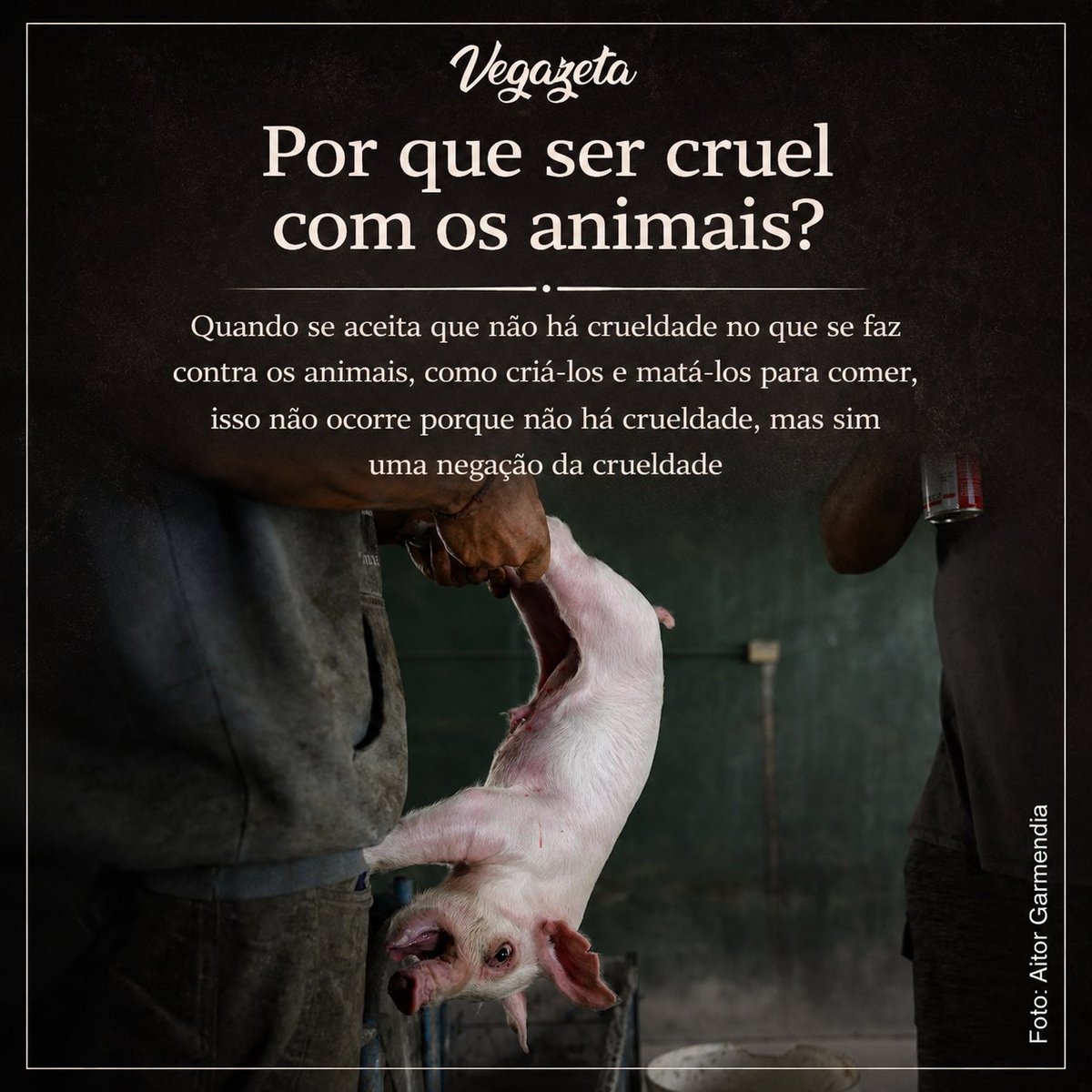 DavidArioch's tweet photo. Leia o artigo na Vegazeta: https://t.co/iS3IU53cmw

#vegazeta https://t.co/u7HSxaFJhf