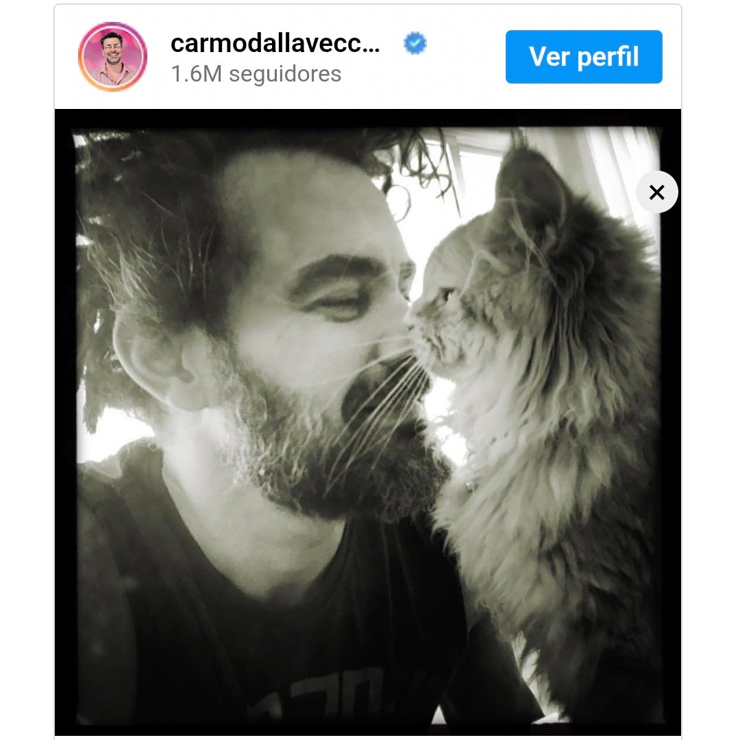 Braulio Lorentz tweet media