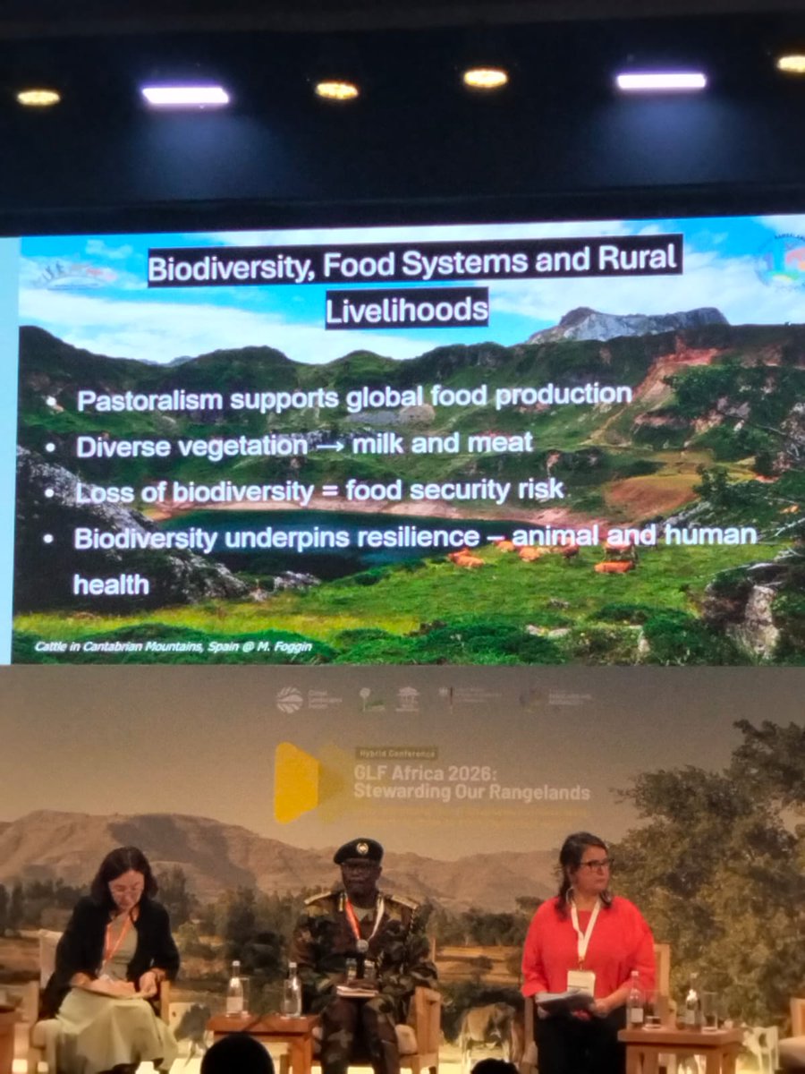 reado_org's tweet photo. Our team is attending the #GLFAfrica 2026 Stewarding Our Rangelands in Nairobi, we are joining 8,000+ global participants to move pastoralist communities from the margins to the center of the climate conversation. Scaling solutions that put pastoralists first. https://t.co/ER9TNJEckP