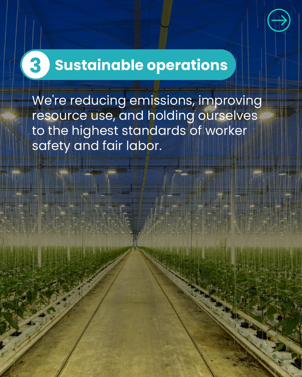 SyngentaGroup's tweet photo. Our sustainability goal is simple: Higher yields, lower impact. 🌾

We are committed to real-world impact - producing more food for a growing population while protecting the ecosystems we all depend on. 

Read more about our sustainability goal here: https://t.co/kqgxUm9F6v https://t.co/yMY6ly1e4w