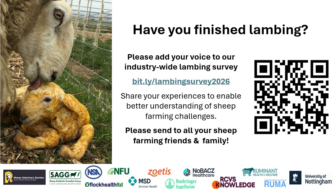 Fiona Lovatt tweet media