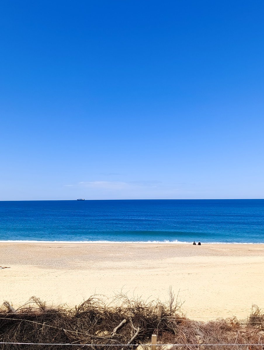 chatBudha's tweet photo. Bonne journée vous 😘 
#JeudiOcean
#instantpresent https://t.co/fzmYd1GgON