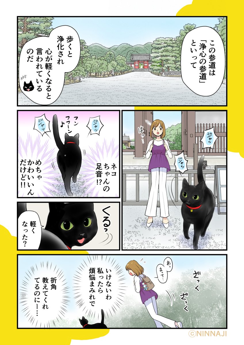 仁和寺の黒若丸 【公式】 tweet media