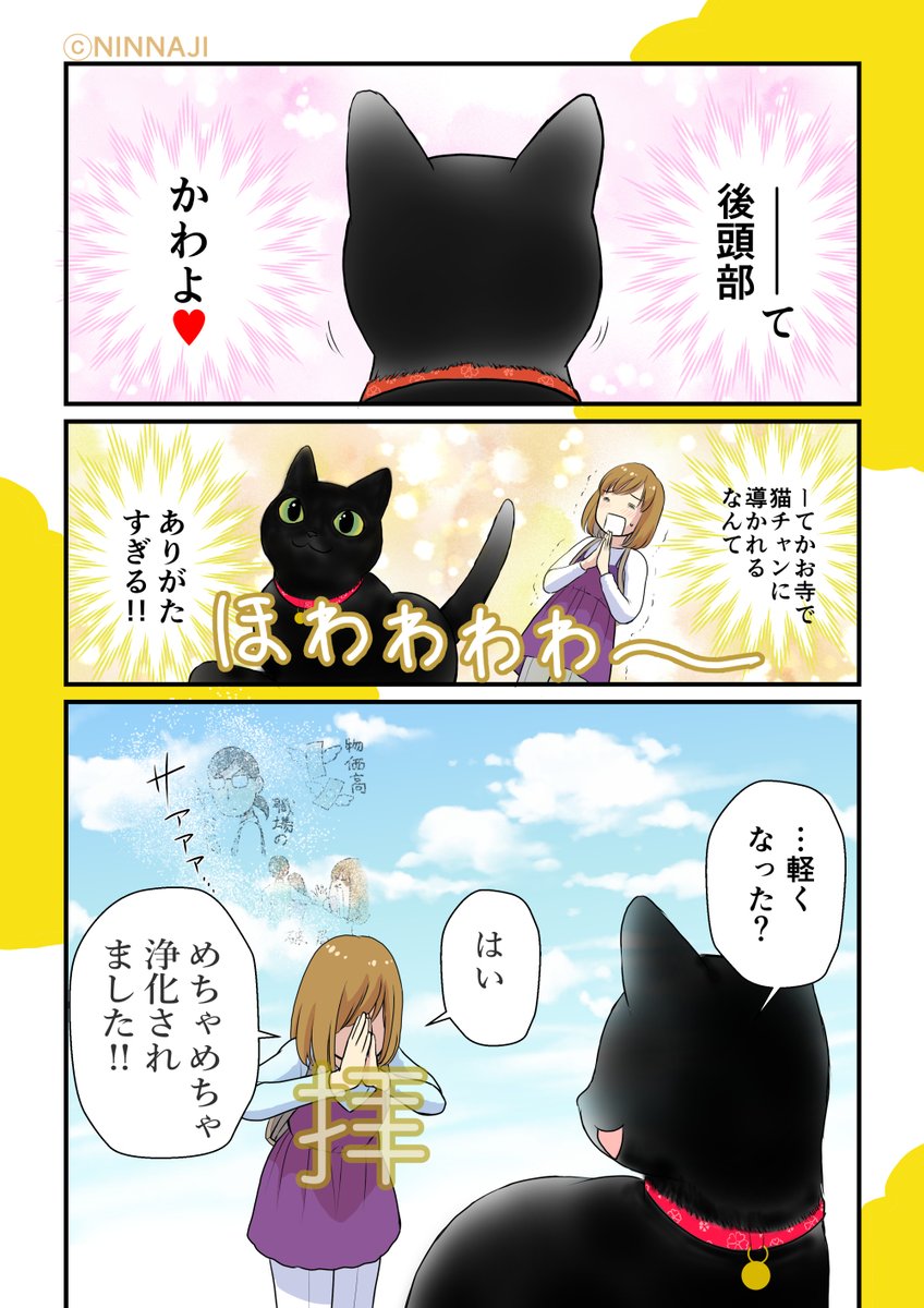 仁和寺の黒若丸 【公式】 tweet media