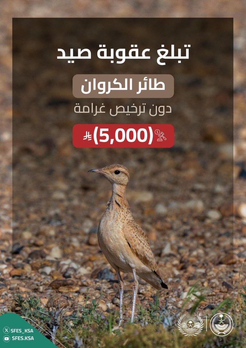 عبدالله البراك ابومحمد tweet media