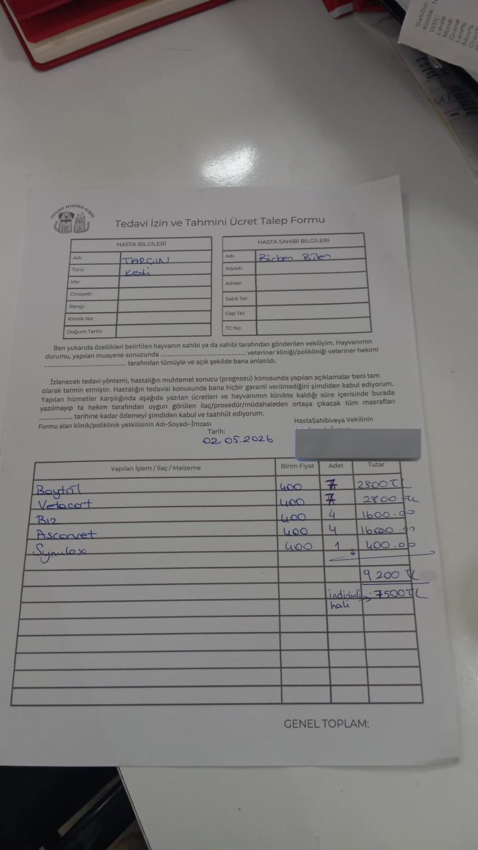 Catslovers44557's tweet photo. Tarçın ın antibiyotik yarın bitiyor. Durumu iyi. Onun üst solunum yolu enfeksiyonu kronik. Arada maalesef tekrarlayacak gibi. Yuva da bulamıyorum. Sokağa dönemez deniyor. Sahiplenme şansım yok ama durumumdan dolayı. Daha eski borcu bitmedi. 6445 tl. Şimdi yeni borcu bu. Lütfen Tarçın ın tedavi masrafları için destek olabilirmisiniz? Ben çok zor bir durumdayım. 50,100 tl ne olursa destek olabilirmisiniz? 🙏