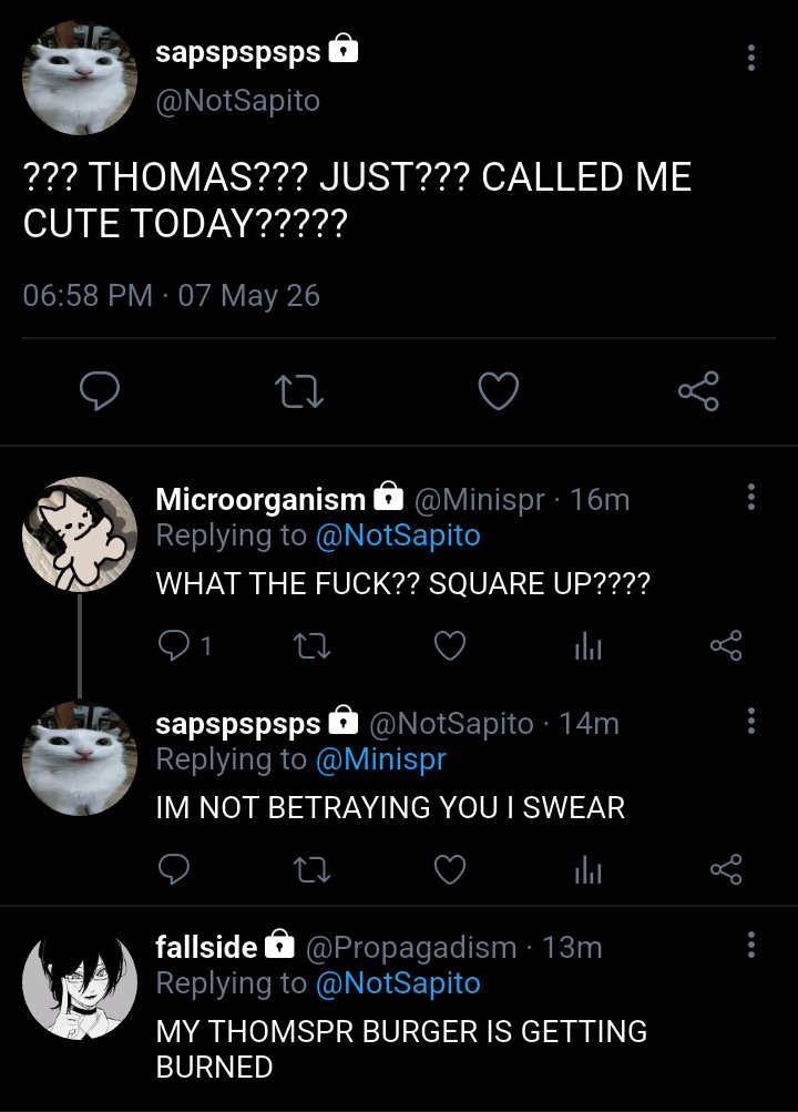 RINꫂ❁ || Disaster Child tweet media