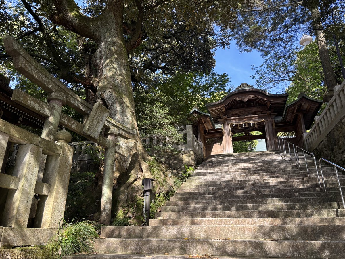 hs_oshimy's tweet photo. 服部神社⛩️ https://t.co/9ZDgFYftkq
