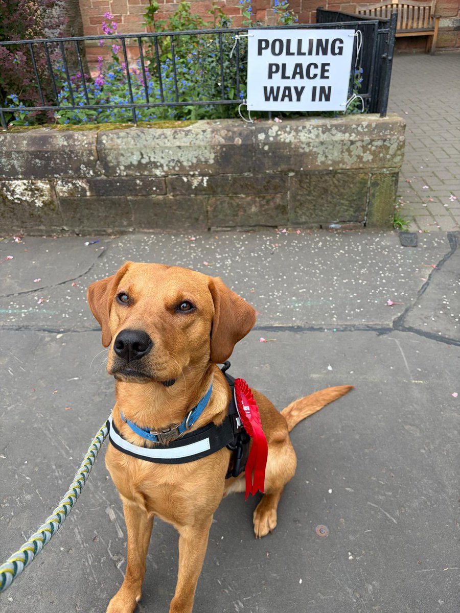 EunisJassemi's tweet photo. Dogs for @ScottishLabour 🌹

#BothVotesLabour https://t.co/iFbPvCkITP